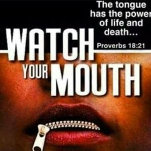 Meet your Posher, Darlene